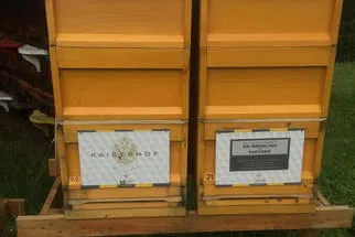 Bienenstöcke  Bild 0