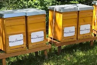 Bienenstöcke  Bild 15