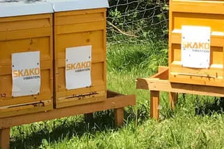 Bienenstöcke  Bild 16