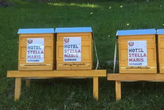 Bienenstöcke  Bild 14