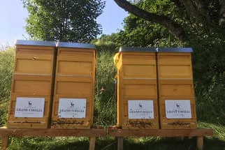 Bienenstöcke  Bild 1