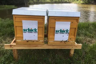 Bienenstöcke  Bild 4