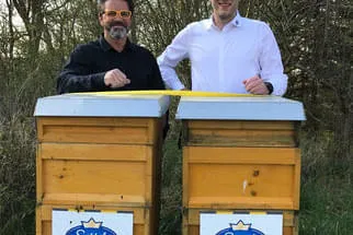 Bienenjahr '18 Bild 174