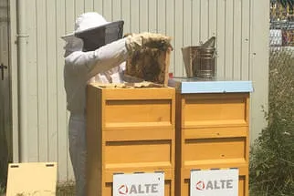 Bienenjahr '18 Bild 115