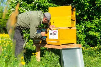 Bienenjahr '18 Bild 316