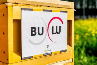 Bienenjahr '18 Bild 319