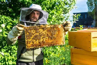 Bienenjahr '18 Bild 318