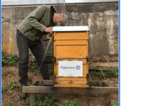 Bienenjahr '18 Bild 232