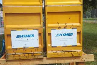 Bienenjahr '18 Bild 202