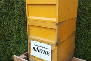 Bienenjahr '18 Bild 119