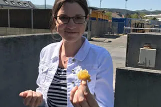 Bienenjahr '18 Bild 251