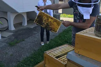 Bienenjahr '18 Bild 252
