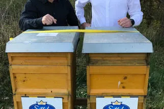 Bienenjahr '18 Bild 247