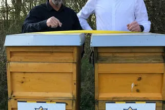 Bienenjahr '18 Bild 248