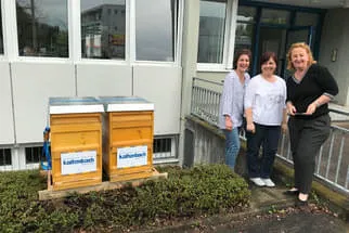 Bienenjahr '18 Bild 276
