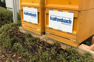 Bienenjahr '18 Bild 275