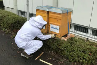 Bienenjahr '18 Bild 272