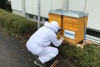 Bienenjahr '18 Bild 271