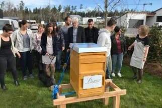 Bienenjahr '18 Bild 264