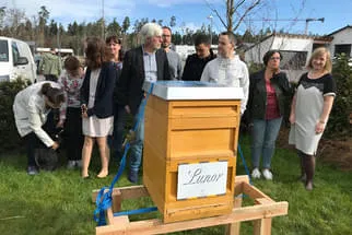 Bienenjahr '18 Bild 261