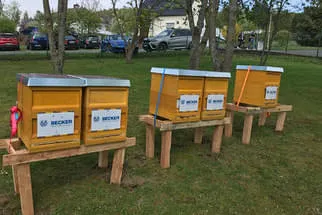 Bienenjahr '18 Bild 325