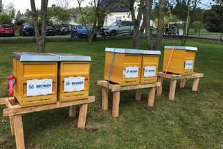 Bienenjahr '18 Bild 322