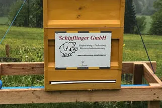 Bienenjahr '18 Bild 68