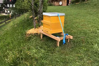 Bienenjahr '18 Bild 66