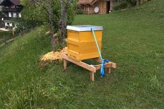 Bienenjahr '18 Bild 60