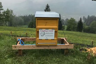Bienenjahr '18 Bild 67