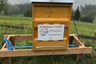 Bienenjahr '18 Bild 65