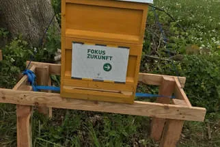 Bienenjahr '18 Bild 64