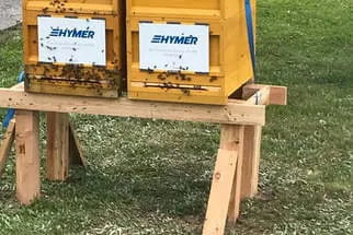 Bienenjahr '18 Bild 61
