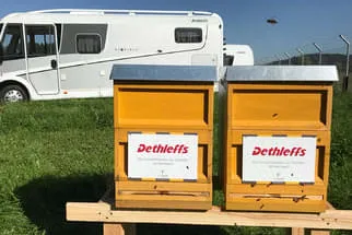 Bienenjahr '18 Bild 47