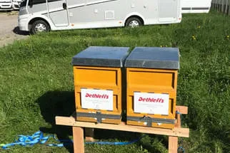 Bienenjahr '18 Bild 51