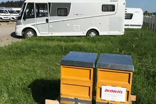 Bienenjahr '18 Bild 50
