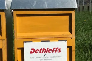 Bienenjahr '18 Bild 38