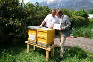 Bienenjahr '18 Bild 44