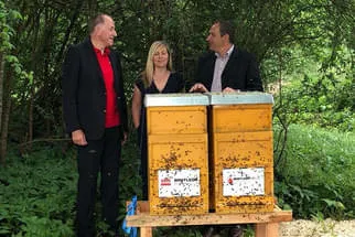 Bienenjahr '18 Bild 24