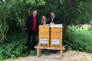 Bienenjahr '18 Bild 11