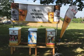 Bienenjahr '18 Bild 9