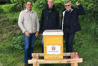 Bienenjahr '18 Bild 5