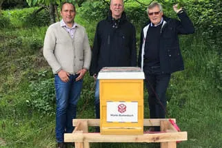 Bienenjahr '18 Bild 8