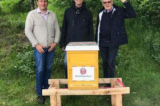 Bienenjahr '18 Bild 10