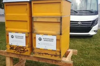 Bienenjahr '18 Bild 7