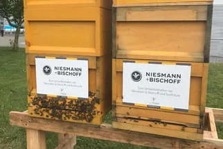 Bienenjahr '18 Bild 1
