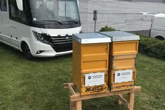 Bienenjahr '18 Bild 0
