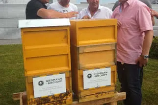 Bienenjahr '18 Bild 4