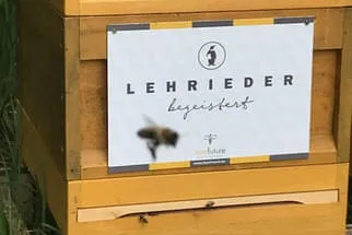 Bienenjahr '18 Bild 200