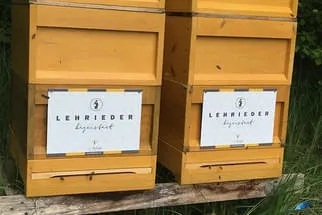 Bienenjahr '18 Bild 198